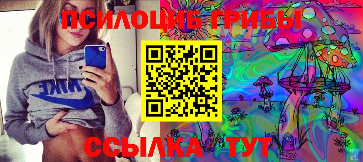 Курск  Галлюциногенные грибы Psilocybine cubensis  купить закладку  Вход с VPN 